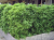 37a79b59fefab46c48bb7f200e84ec3e.png