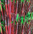 c585738020dee54dba62bdd624cca606.png