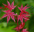 f56c9dc1312001e47c3afb2e25b24222.png