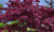 beaf3f485f1a2fd53fb548ab9ebb76aa.png