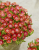cc9ca021e750b7efe6afebffa12a63ff.png