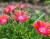 c91094ed55bd9d81aeb568f359cb65d0.jpg