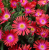 9654d0ec62319f2ccf2496c2261abc29.png