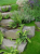 257a4f7837951a932121794fcbfff208.png