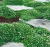 baaa67d6f6be53629f6d4a451a462361.png