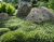 68369f7699b9cb874850bc52b7a83c9d.png