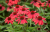 37282c96a9e42a06eba2251a22b30d1d.png