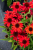 67c843c10aa720787f18880e6b8c6c96.png