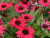 834e06d35bcfb191137ec6c637ef5984.png
